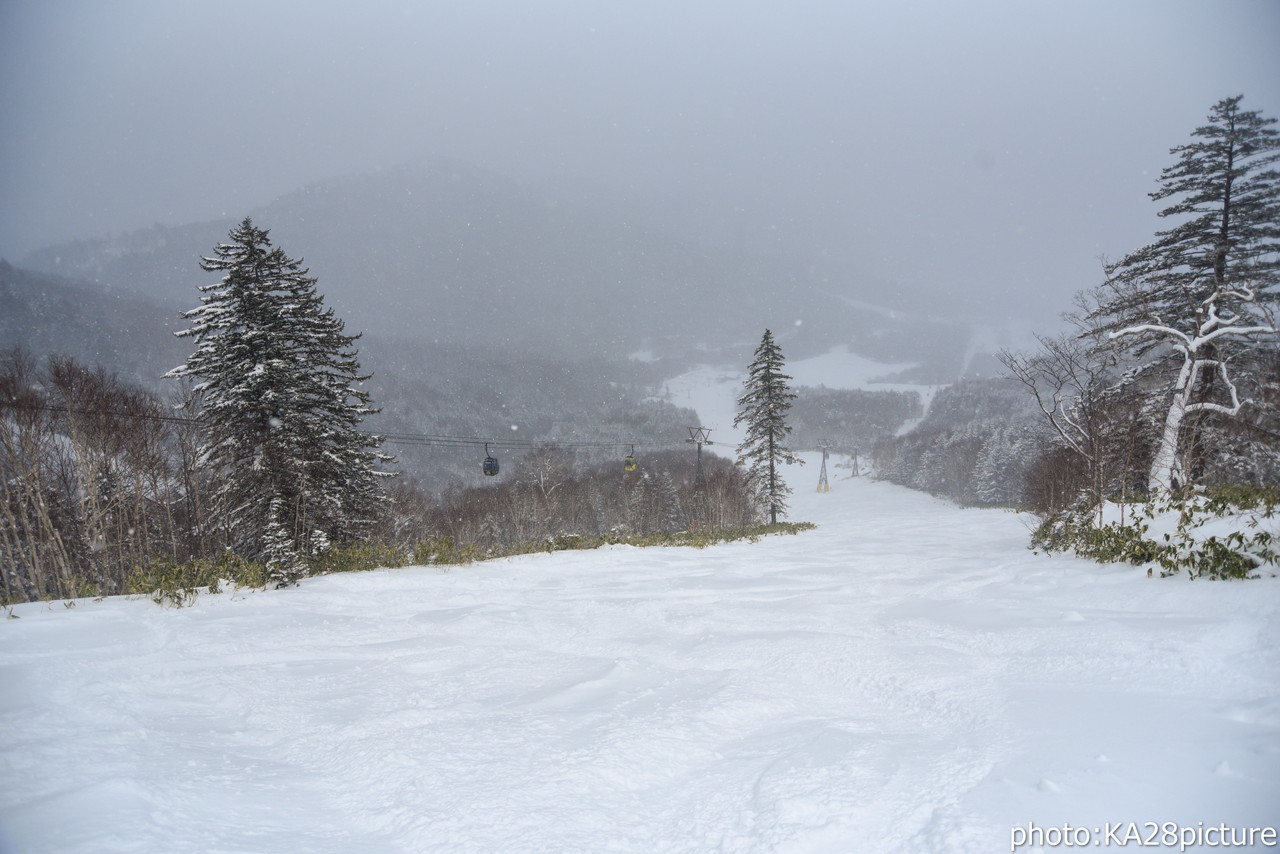 星野リゾート トマム　連日の降雪のおかげで『雲海ゴンドラ』を使った滑走が解禁。これで大部分滑走可能となりました♪